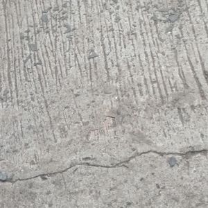 Meet your Posher, Arub